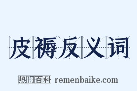 皮褥反义词是什么意思的图片